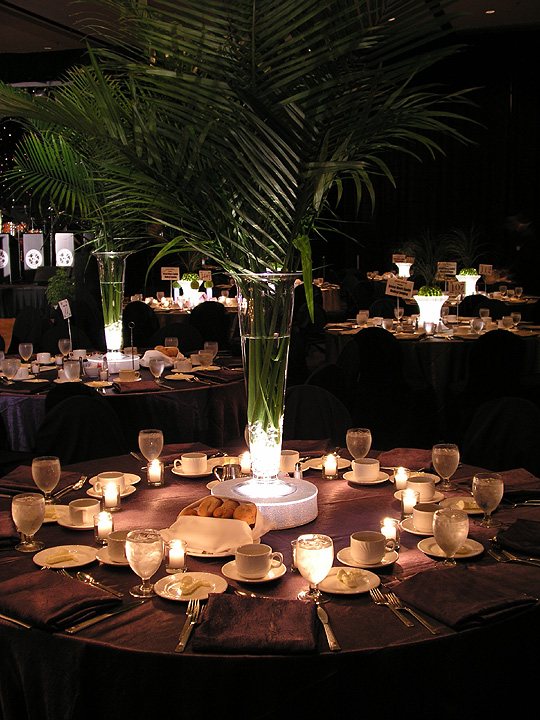 Buy Tower Vases and lighting at Vibride Wedding Mall