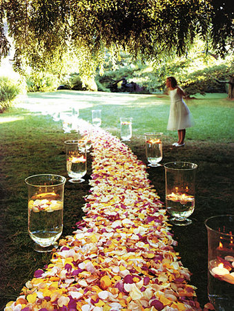 More Backyard Wedding Ideas