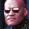 weddingwizard's picture
